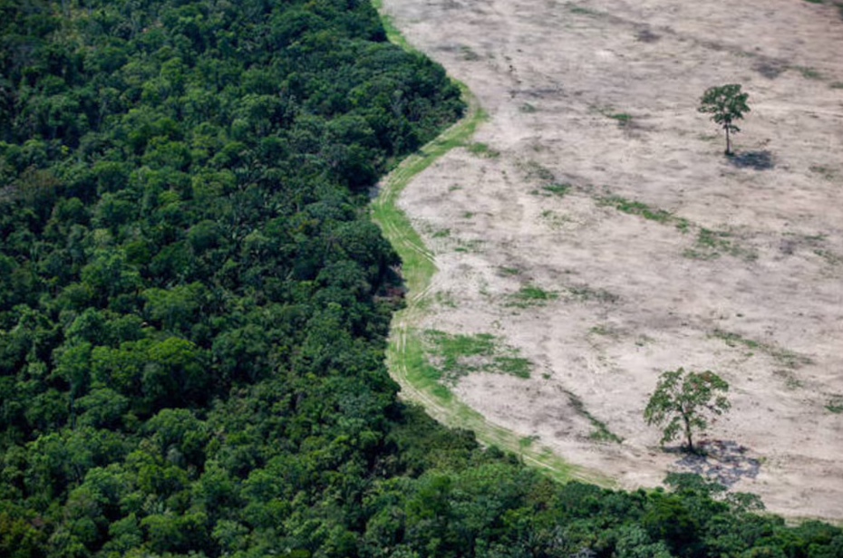 Brazil Could Lead Climate Solutions with Potential Investment of $3 Trillion, Says Study