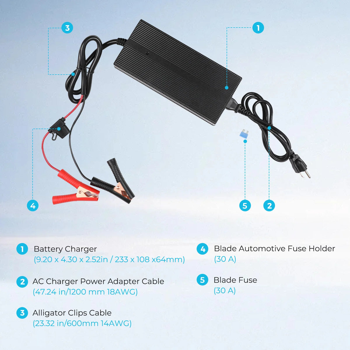 20A LFP 240V 12V AC Battery Charger For Lithium Iron Battery by 54 Energy - Renewable Energy Store
