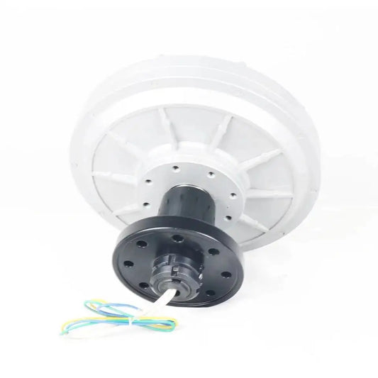 300W-1000W 200 250 300Rpm 12V 24V 48V 220V DC Generator Permanent Magnet Alternator Coreless Maglev For Solar Panel Wind Turbine by 54 Energy - Renewable Energy Store