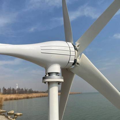 FLTXNY 5 Blades Windmills Wind Turbine Generator Free Energy China Factory 3000W 12V 24V 48V With Mppt Charge Controller by 54 Energy - Renewable Energy Store