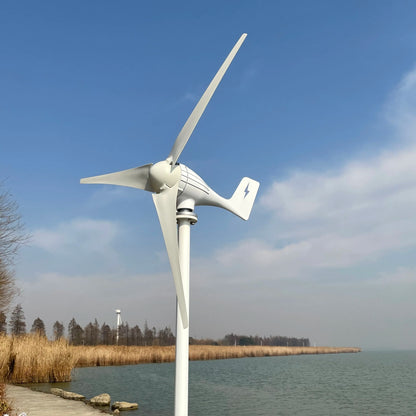 Horizontal Axis Wind Turbine Generator 600W 800W 12V 24V 48V 3/5 Blades For Home Residential Use
