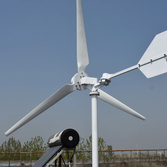 FLTXNY CE certified 5kW 5000W 10KW 20KW 120V 220V 240V 380V Horizontal Wind Turbine Generator Could Do Hybrid With Solar pa