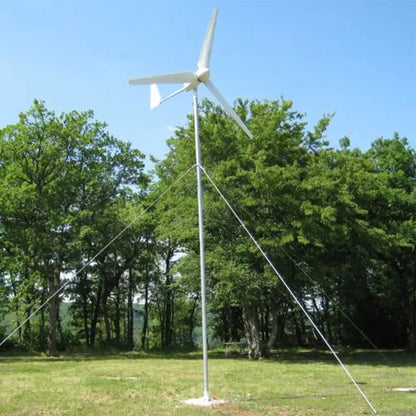 Low Wind Speed Up 1000W 24V 48V Wind Turbine Generator With MPPT Charge Controller And Off Grid SystemFor Marine and Land