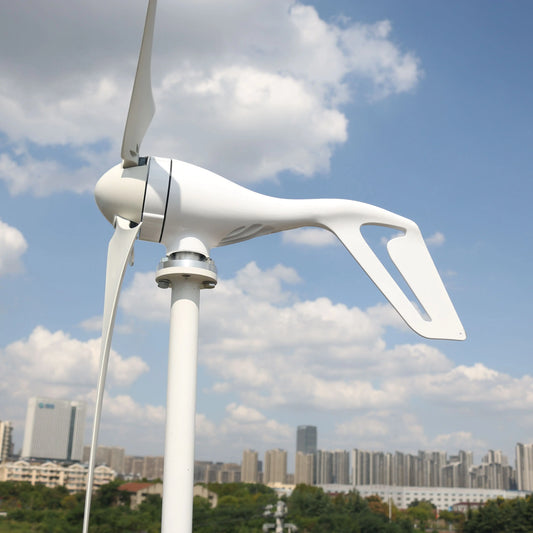 FLTXNY Horizontal Wind Turbine Generator 800W 3/5 Blades New Energy 12V 24V 48V For Home Street Lamps