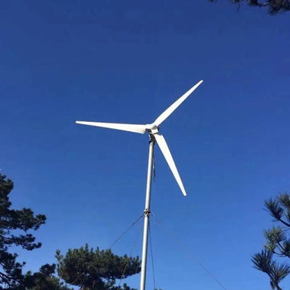 Low Wind Speed Up 1000W 24V 48V Wind Turbine Generator With MPPT Charge Controller And Off Grid SystemFor Marine and Land