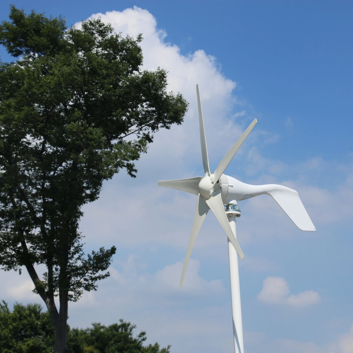 New Arrival Free Energy 5 Blades 5000W 12V 24V Wind Turbine Generator Windmill With MPPT Controller Homeuse Low Wind Speed Star by 54 Energy - Renewable Energy Store