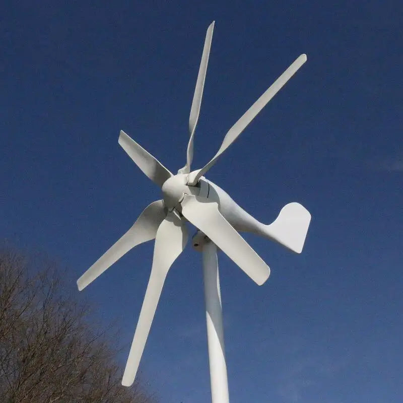 Small Wind Turbine Generator Fit for Home Lights Windmill 800W With Controller Gift All Sets With 5 Years Warranty