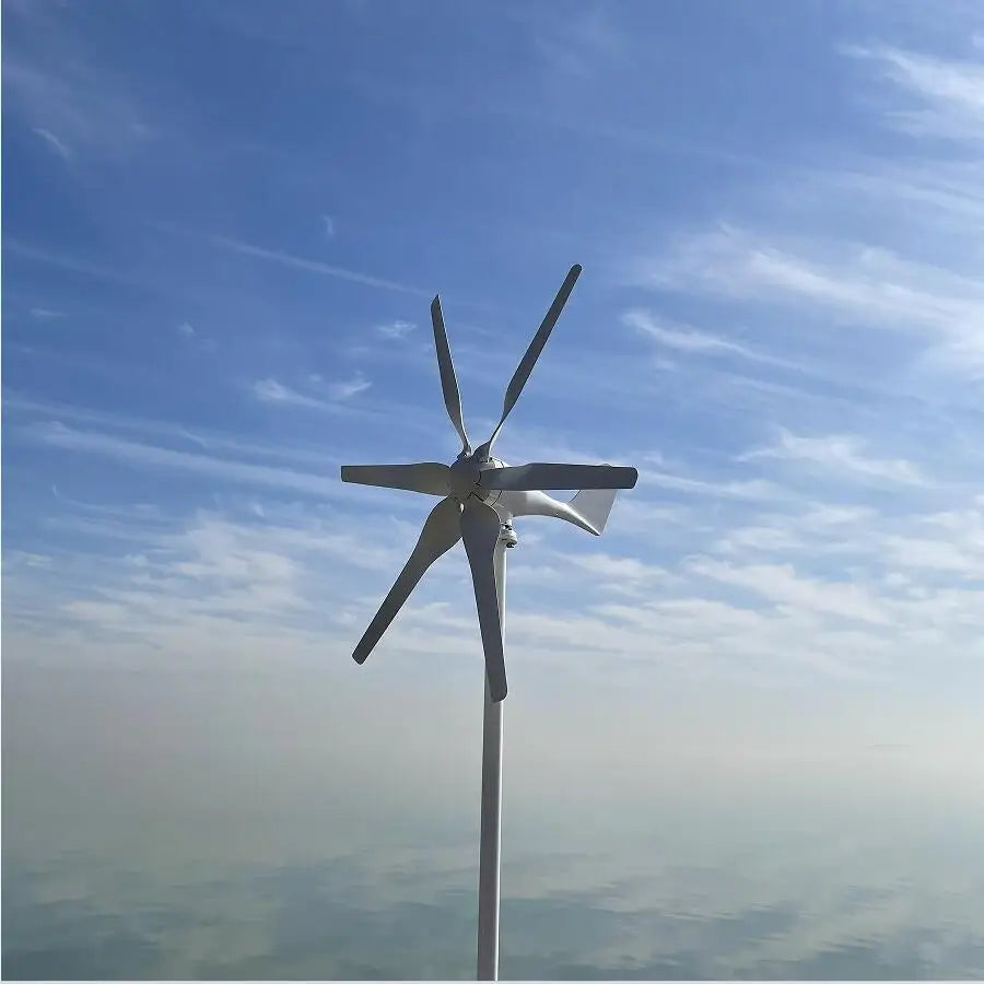 FLTXNY Chnia Factory Wind Turbine Generator 12V 24V 48V 800W Free Alternative Energy Windmill With MPPT MPPTController