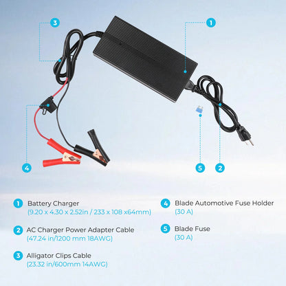 20A LFP 240V 12V AC Battery Charger For Lithium Iron Battery