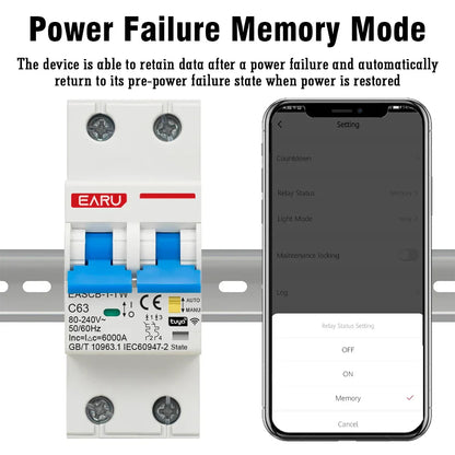 2P Tuya WiFi Smart Circuit Breaker MCB Timer Relay Switch Remote Control AC 63A 16A Power-off Memory Alexa Google Home Assistant