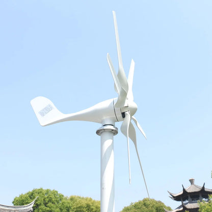FLTXNY Chnia Factory Wind Turbine Generator 12V 24V 48V 800W Free Alternative Energy Windmill With MPPT MPPTController