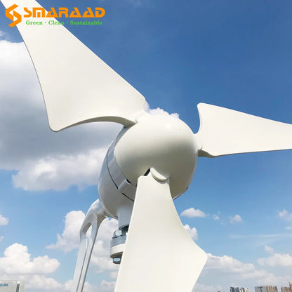 DIDITO 800W  1000W 12V 24V Wind Turbine Generator Complete Set Windmill MPPT/Charge Controller Small  Generador Electrico 54 Energy - Renewable Energy Store