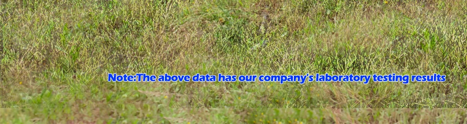 Portable Polysilicon Solar Panel Charger USB 800W 5V DC Foldable For Hiking And Camping by 54 Energy - Renewable Energy Store