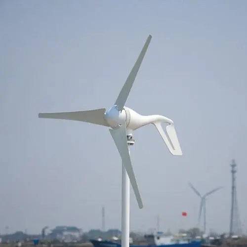 Home Micro Wind Turbine 800W Generator | 12V/24V with CE Approval